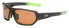 Brille Polarisationsbrille Bass Bernstein